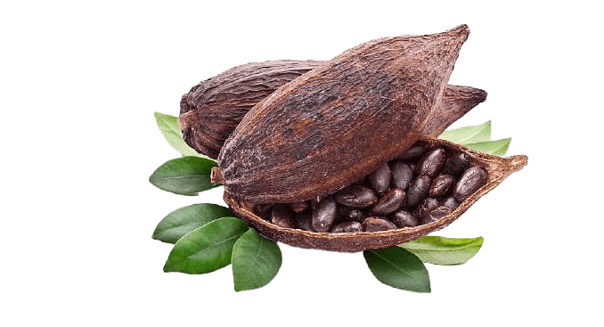 Cocoaalt