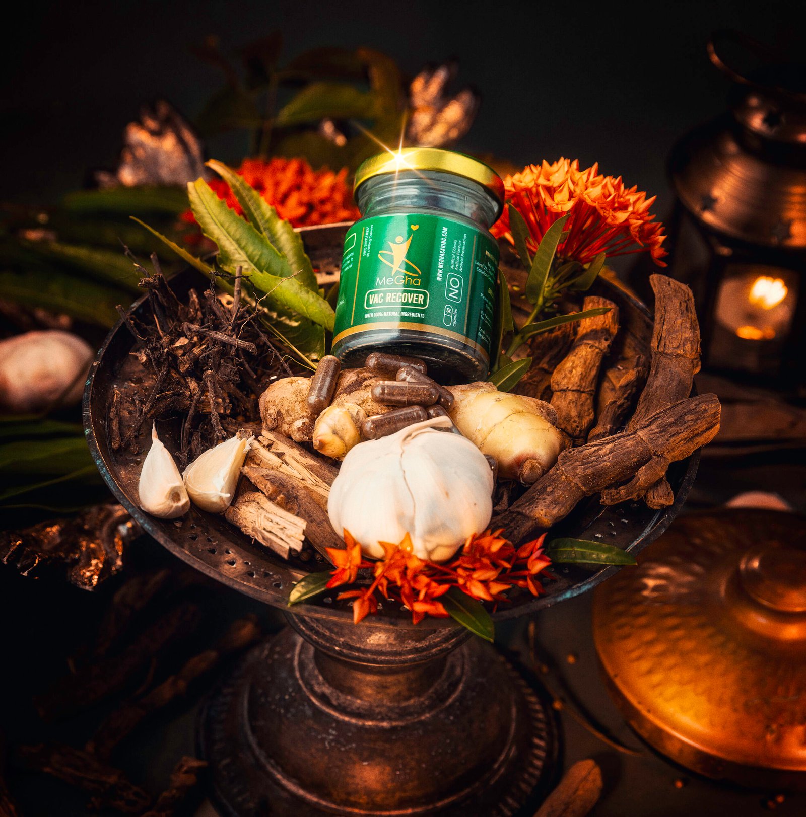 medical ayurveda0360-High